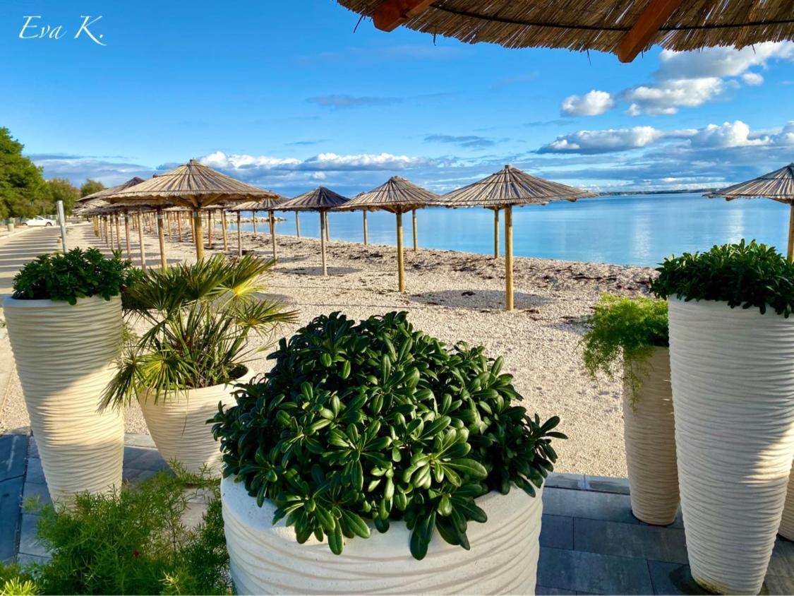 Villa Island Vir With Pool Экстерьер фото