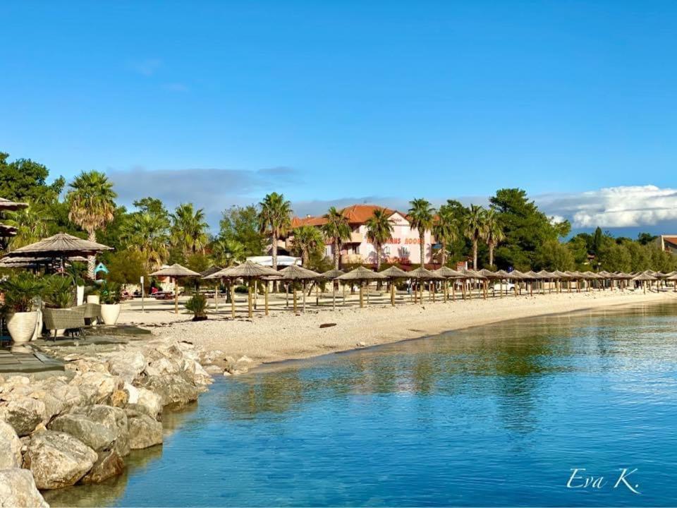 Villa Island Vir With Pool Экстерьер фото